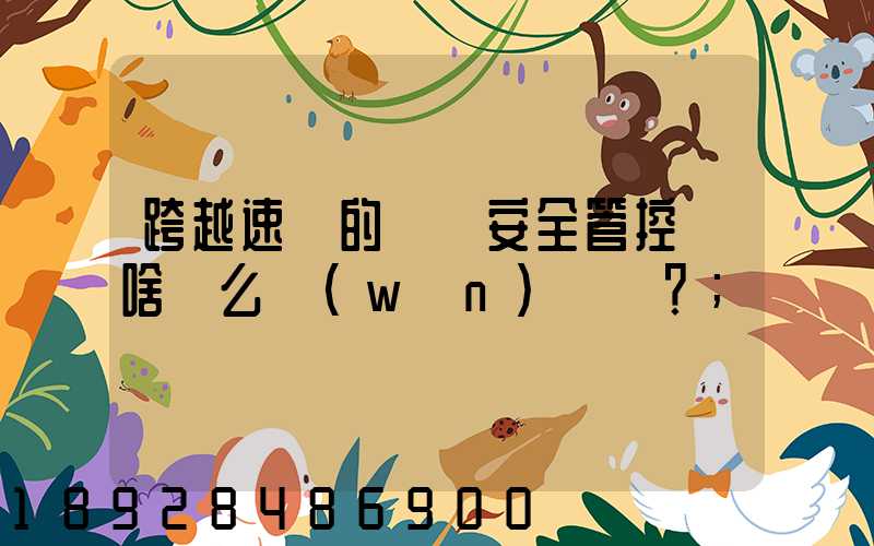 跨越速運的運輸安全管控為啥這么穩(wěn)？